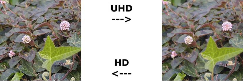Why UHD video looks better than Full HD video, even on a 1080p screen
