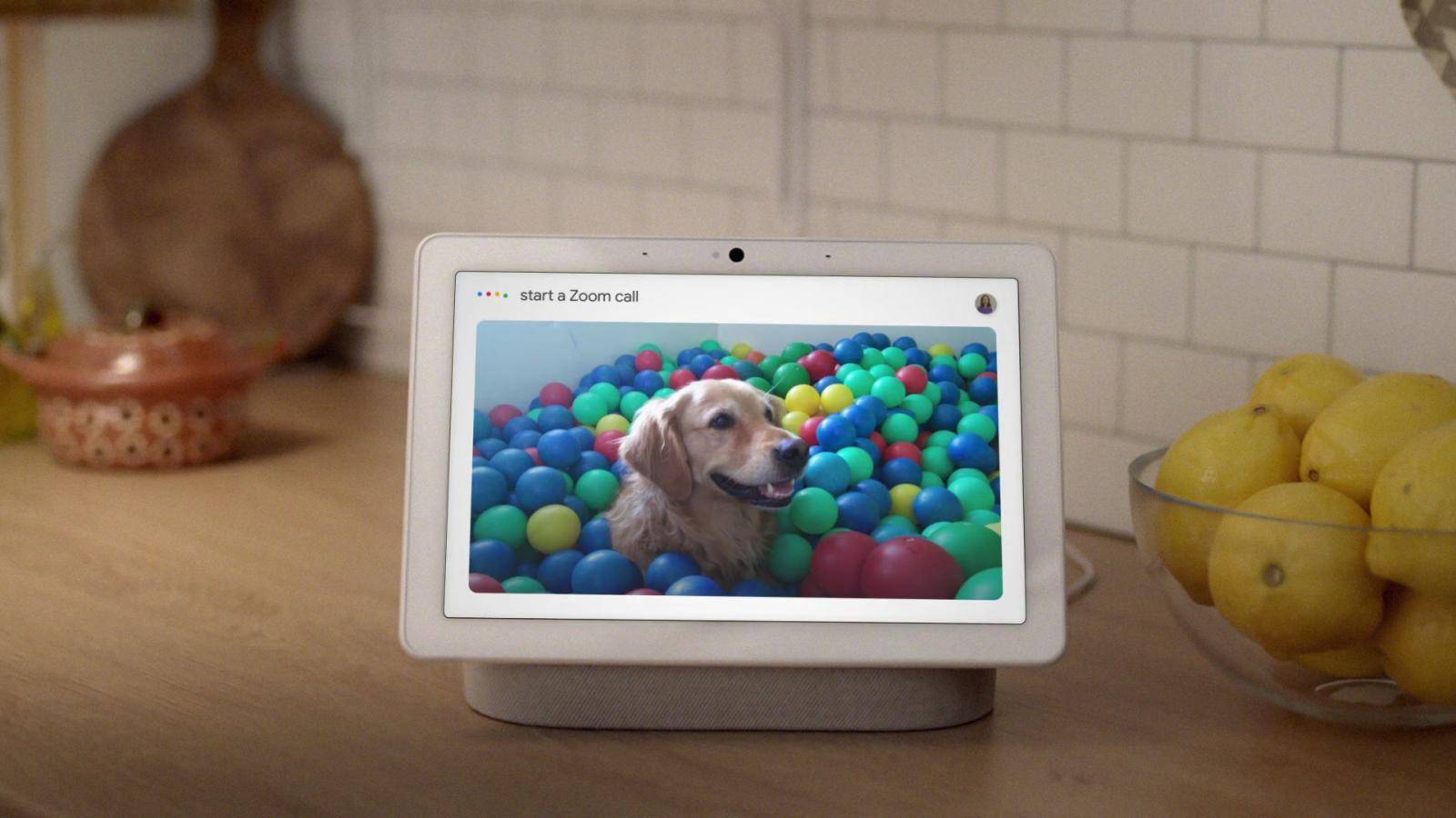 Google brings Zoom video call experience on the Next Hub Max smart display