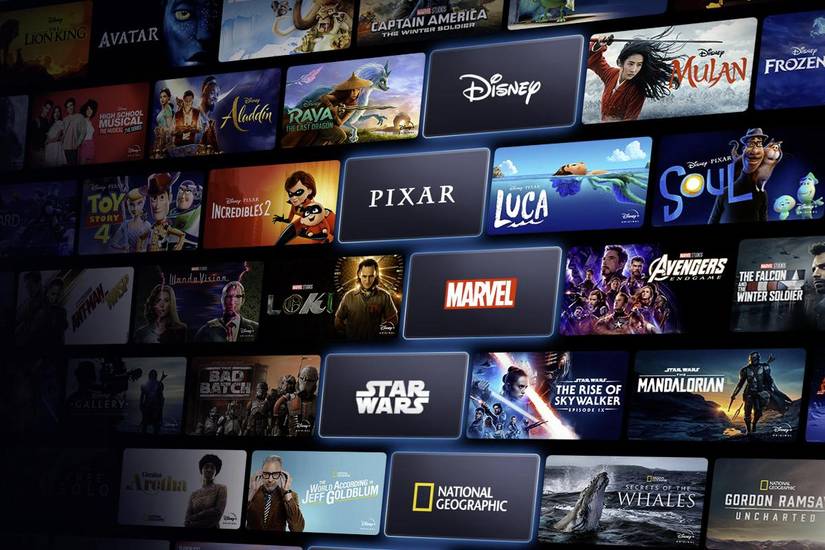 The Disney Bundle Overview