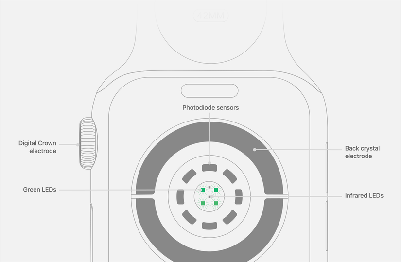 Apple Watch health sensors diagram ECG blood oxygen heart rate