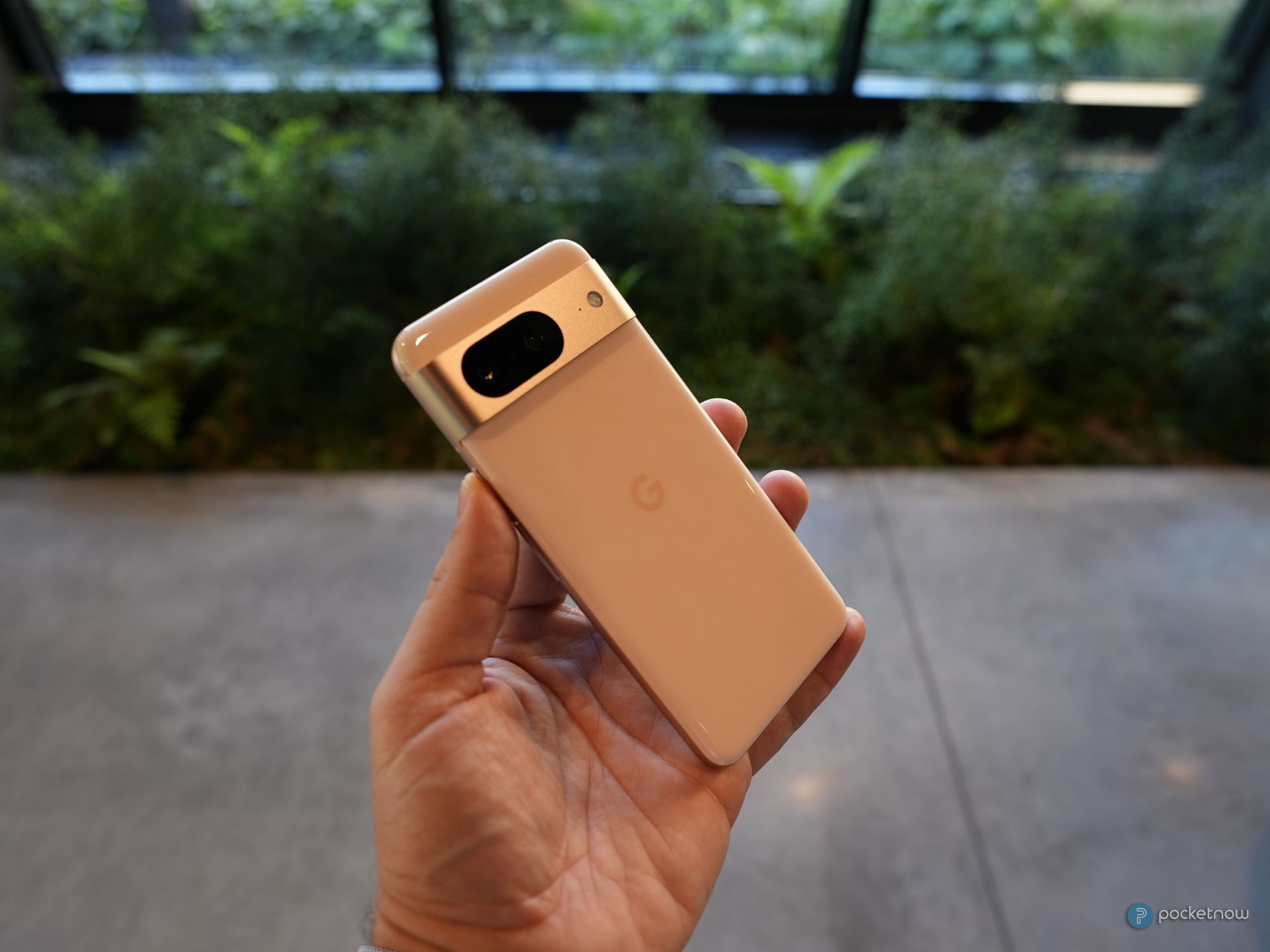 google-pixel-8-back.jpg?w=1600